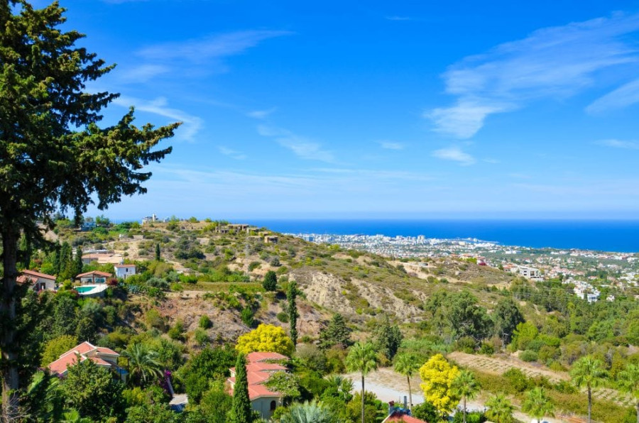 Property Searches in Northern Cyprus: How to Check Land Registry Records and Property Ownership